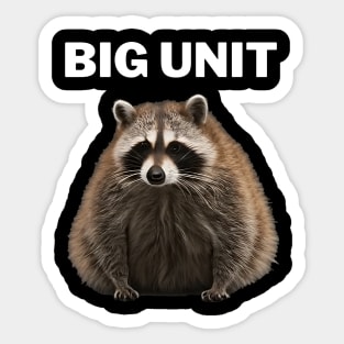 fat raccoon Sticker